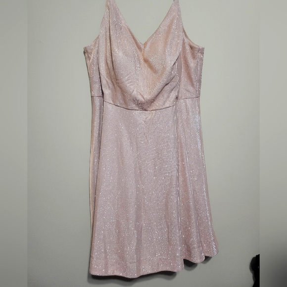 NWT SPARKLE champagne knee length dress size 18 With POCKETS! - Picture 1 of 6